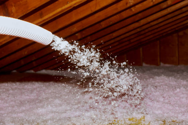 Best Best Insulation Companies  in Irmo, SC