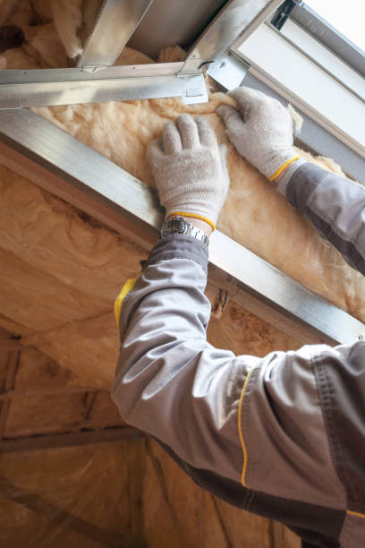 Best Local Insulation Services  in Irmo, SC