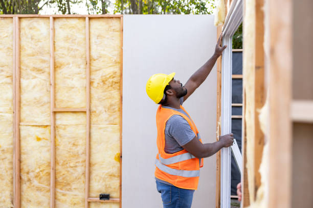 Best Cellulose Insulation  in Irmo, SC