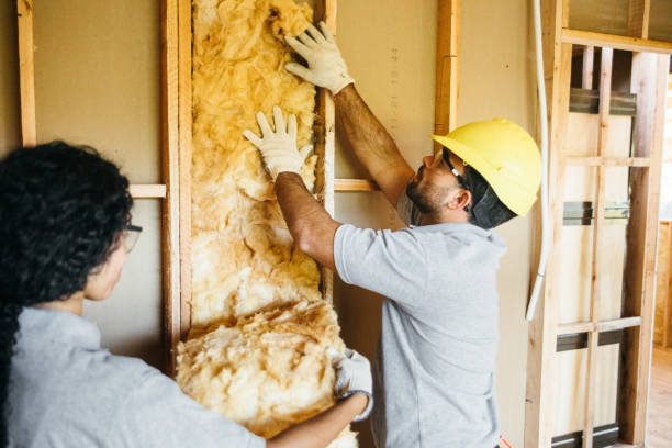 Best Insulation Contractor Near Me  in Irmo, SC