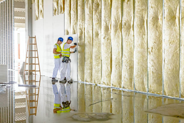 Insulation Inspection Services in Irmo, SC